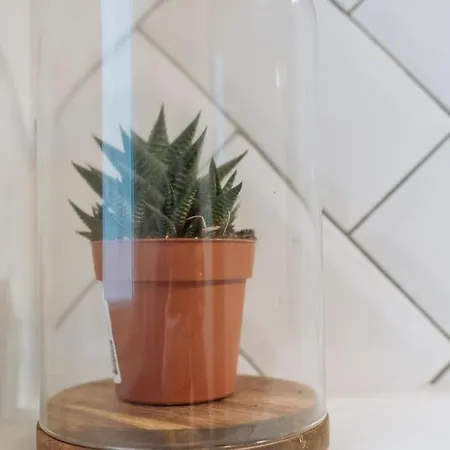 View Over The Apartment Bucharest