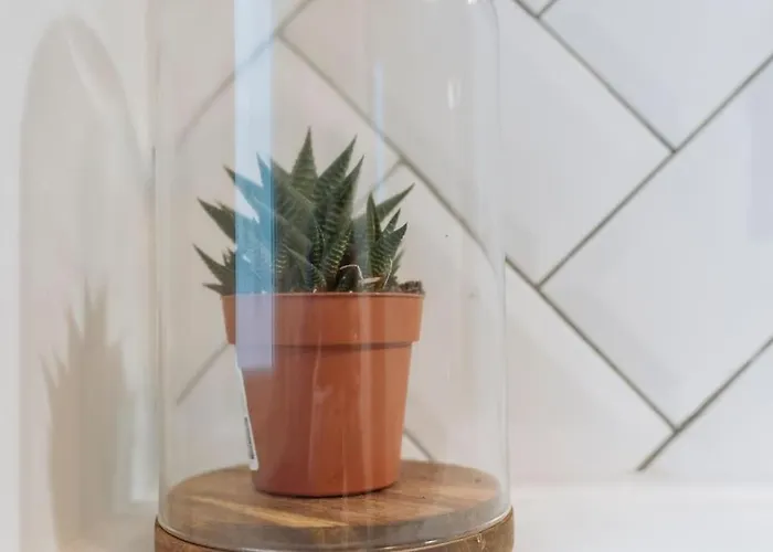 View Over The Daire Bükreş